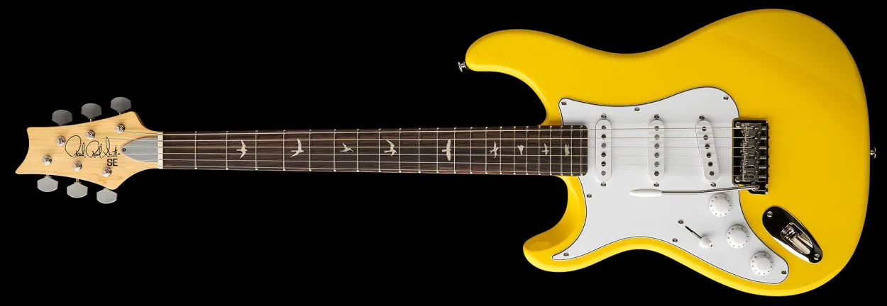 PRS SE Silver Sky 1R - Dandy Lion