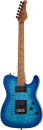 SCHECTER E-Gitarre, PT Pro, Trans Blue Burst